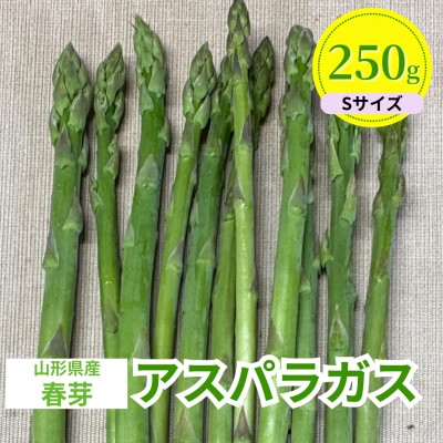 
                  ＜先行予約＞令和9年 山形県川西町産 雪国春アスパラガス　Sサイズ　250g【1764668】
                