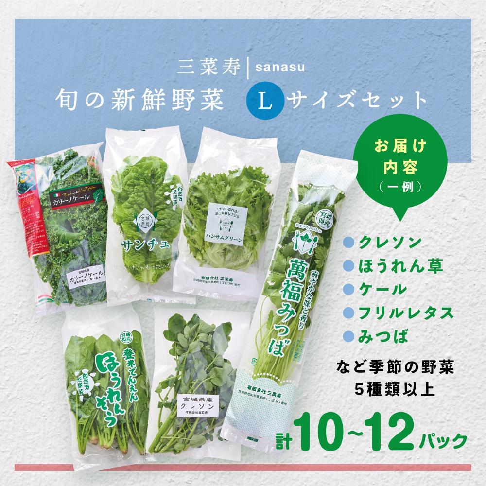 【定期便６回】旬の新鮮野菜セット　Lサイズ（5種類以上/10～12パック）