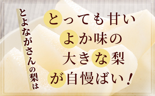 【2024年7月下旬発送開始】 梨 約3kg