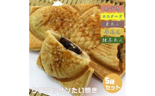 クロワッサンたいやき（5種セット）【お菓子 スイーツ 和菓子 あずき カスタード 栗あん 芋あん 抹茶あん お中元 お歳暮 父の日 母の日 ギフト用 大阪府 門真市 】 272230_AU001VC01