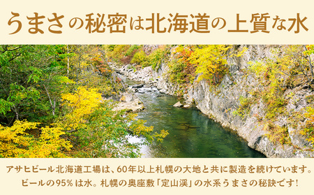 【定期便 2ヶ月】アサヒ生ビール≪マルエフ≫＜350ml＞24缶 1ケース 北海道工場製造 おすすめ定期便 ビール 定期便ビール 定期配送 缶ビール定期便 生ビール ビール工場製造 アサヒビール