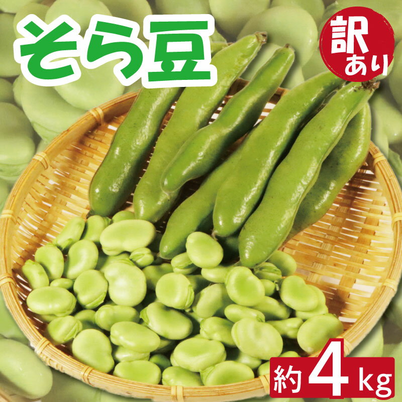 【ふるさと納税】 先行予約 訳あり そら豆 約4kg 季節限定 そらまめ 豆 マメ おかず お弁当 おつまみ 炒め物 大容量 新鮮 産地直送 野菜 旬 家庭用 国産 ふるさと納税 ふるさと納税野菜 冷蔵 12000円 送料無料 千葉県 銚子市 孝農園【令和8年5月上旬～6月上旬発送予定】