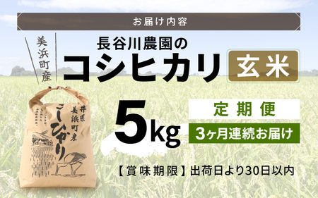 【令和7年産】定期便 ≪3ヶ月連続お届け≫長谷川農園の コシヒカリ 玄米 5kg × 3回 (計15kg) 【 こしひかり 5キロ 玄米 】 [m22-c003]
