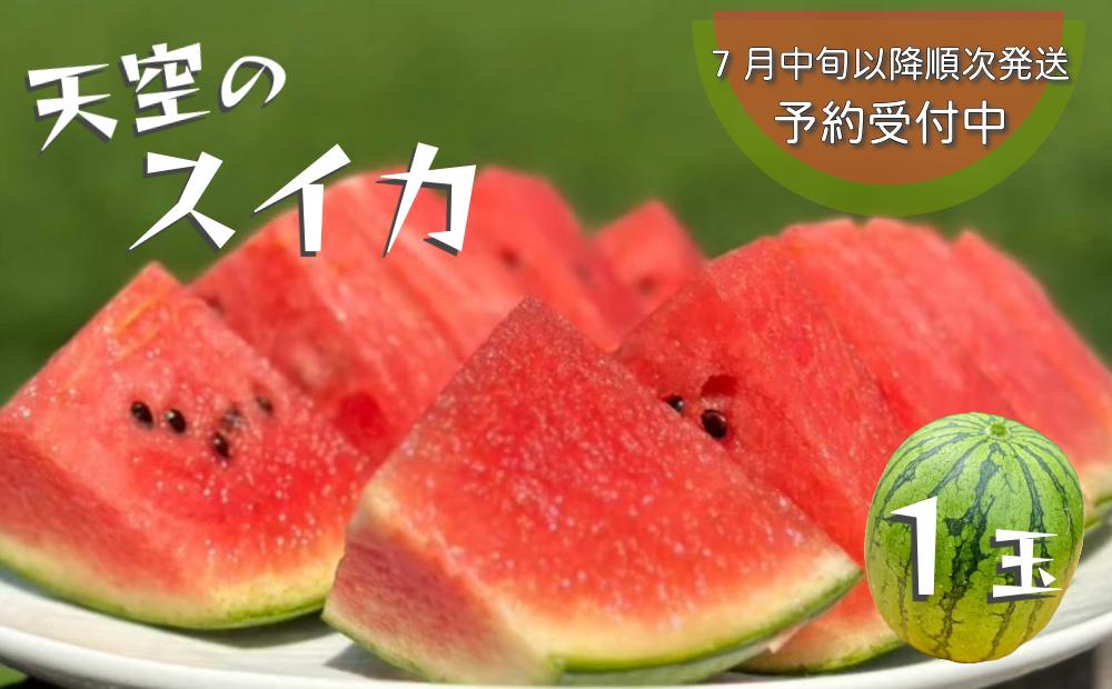 【予約受付中・7月中旬以降順次発送】 天空のスイカ 【数量限定】 すいか 西瓜 小玉スイカ 栽培期間中農薬不使用　鳴門　 甘い 小玉 果物  フルーツ ギフト 人気商品  敬老の日 　スイカ　スイカ　スイカ
