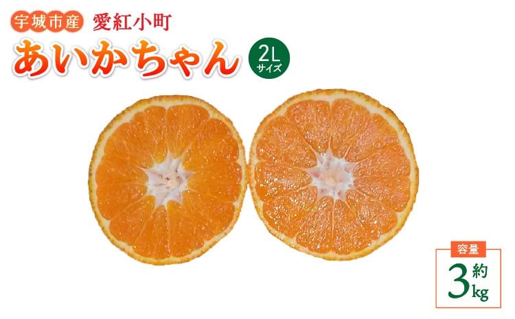 
            【先行受付】  愛紅小町 あいかちゃん 約3kg 15～20玉 2Lサイズ 【吉田レモニー】 【2025年10月上旬-2026年1月下旬発送】 温州みかん
          
