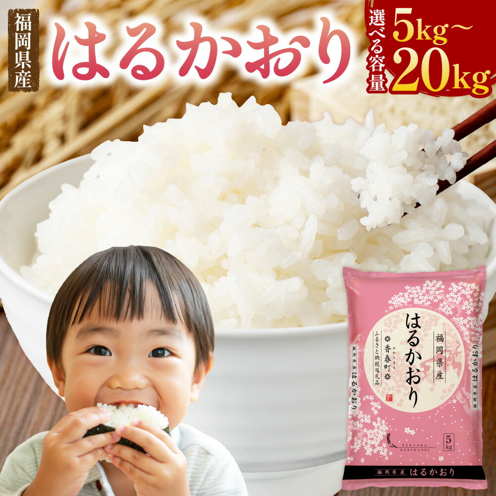 【ふるさと納税】福岡県産米 はるかおり 精米 5kg ／ 10kg ／ 20kg 〈選べる容量〉 11500 円 ～ 38000 円 米 お米 白米 ブレンド米 コメ ご飯 ごはん ライス 1袋あたり5kg 1袋 2袋 4袋 国産 福岡県 香春町【令和7年産】