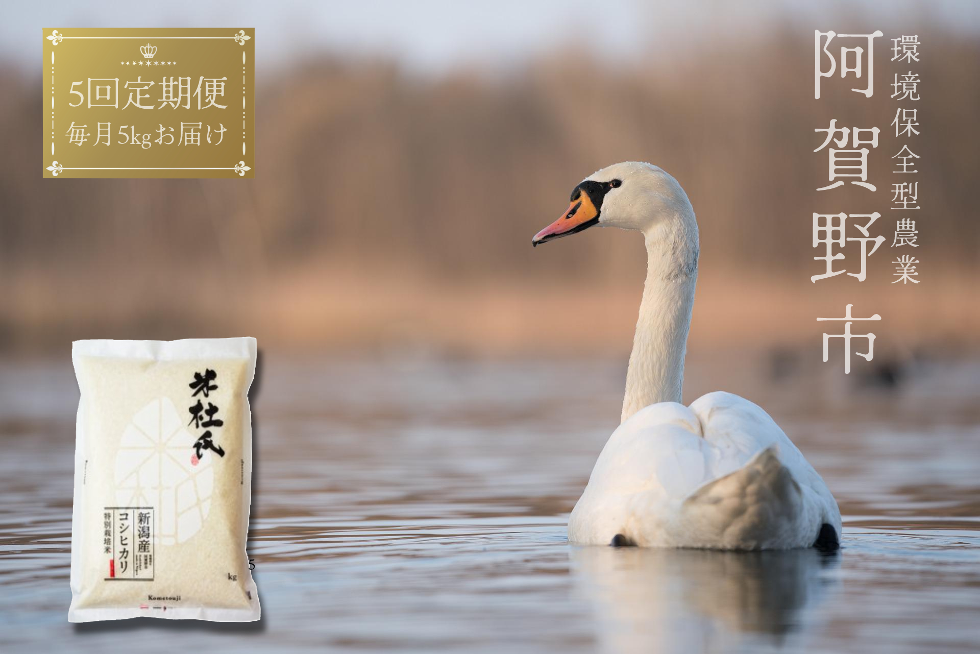【令和7年産】【5回定期便】 米杜氏 新潟県阿賀野市産 特別栽培米 コシヒカリ 5kg × 5回 計25kg 1H04091
