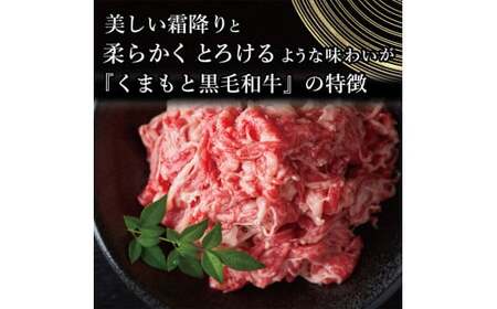 FK7-0009_【A4～A5】 くまもと黒毛和牛切り落とし 500g