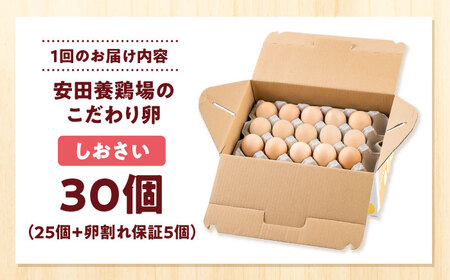 【全3回定期便】【数量限定50セット】安田養鶏場の卵 しおさい 30個入り 横須賀市 産地直送 割れ保証付き たまご 黄身 濃厚 卵 玉子 タマゴ 鶏卵 【安田養鶏場】[AKHN008]