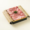 【ふるさと納税】【全6回定期便】長崎和牛 すき焼き肉 約500g（3~4人前） 計3kg 和牛 牛肉 お肉 肉 すきやき ギフト 贈答 冷凍 長崎県産 国産 九州 長崎県 長崎市 送料無料