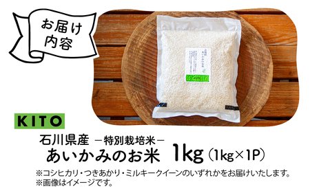 【先行予約 令和7年産】あいかみのお米 1kg（1kg × 1パック） 石川県産 特別栽培米 【コシヒカリ・つきあかり・ミルキークイーンのいずれかお届け】/ 新米 令和7年産
