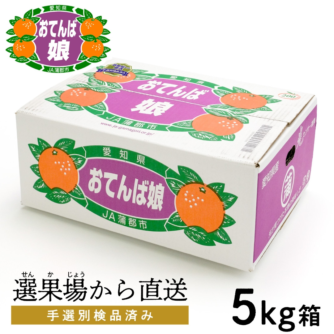 
            【G0190】【期間限定】蒲郡みかん「おてんば娘」約５kg
          