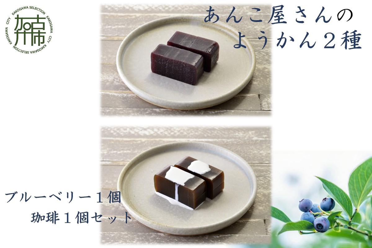
                  【老舗の味】あんこやさんの「ようかん2種」(ブルーベリー1個・珈琲1個セット)《 珈琲ようかん ブルーベリーようかん ようかん 羊羹 ようかんセット 老舗 お菓子 和菓子 》【2401H05921】
                