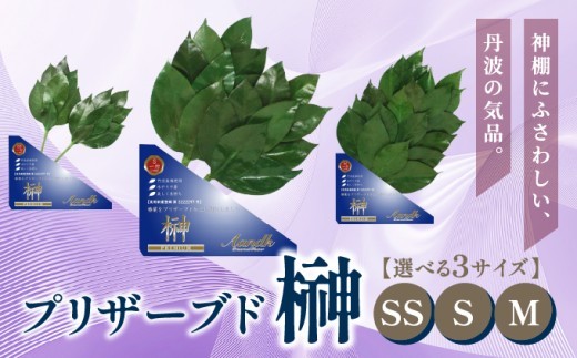 
                  プリザーブド 榊 SS / S / M サイズ （1対 2束）【天然 国産 サカキ 神棚 神具 祭壇 玉串 神事 仏壇 仏花 お供え お墓 お盆 お彼岸 新盆 祭 水かえ不要 枯れない プリザーブドフラワー】
                