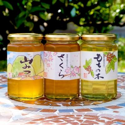 ふるさと納税 小郡市 はちみつ 化粧箱入り 370g×3本セット さくら&amp;もちのき&amp;やまみつ[No5354-0323]