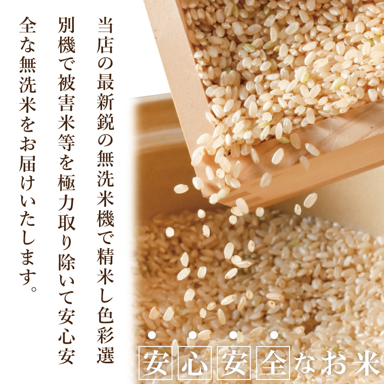 【数量限定】R7年産取手市産コシヒカリ 無洗米5kg|お米 米 こしひかり コシヒカリ 新米 白米 無洗米 茨城県 取手市（BS005）