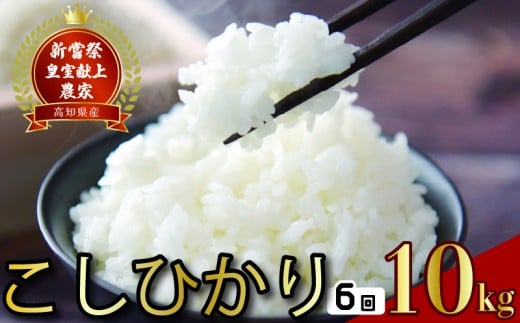令和7年産 コシヒカリ 白米 6ヵ月連続 定期便 10kg × 6回 60kg