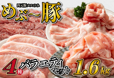 【地元ブランド豚】"めぶ～豚" 4種バラエティパック 計1.6kg（豚肉 豚 豚バラ とんかつ用 切り落とし こま切れ ミンチ 小分け）