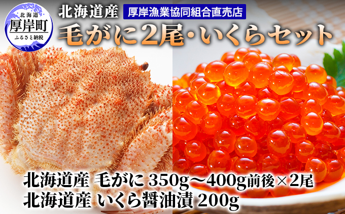 
厚岸漁協イチオシ！【3D冷凍】北海道産 毛がに（約350g～400g）2尾・いくら200gセット [№5863-1088]
