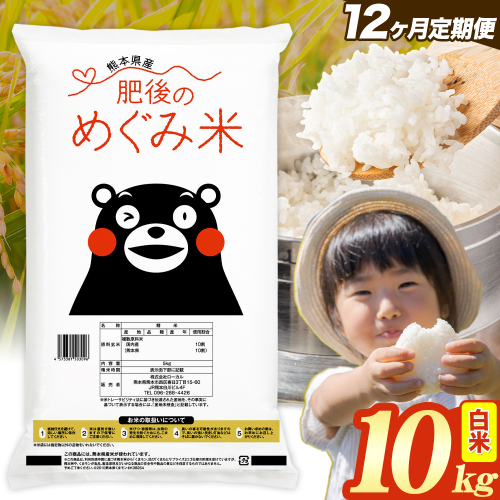 【12ヶ月定期便】白米 熊本県産 ブレンド米 肥後のめぐみ米 10kg 熊本県産 ふるさと納税 精米 米 こめ ふるさとのうぜい コメ お米 おこめ《お申込み翌月から出荷》