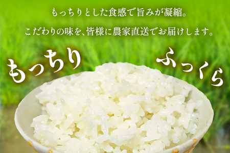 [2025年10月中旬頃から発送] 米 5kg 農家直送！自家製 はるみ ｜先行予約 お米 おこめ コメ 白米 神奈川 伊勢原 ブランド米 [0523]