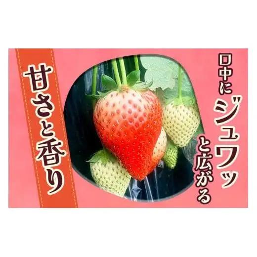 やさしさ仕立ての とちあいか 300g×2P 【2027年先行予約】 栃木県 矢板市