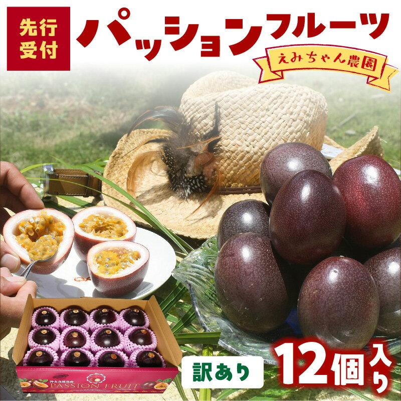【ふるさと納税】【2025年先行予約】 訳あり パッションフルーツ 1kg 12個 えみちゃん農園 わけあり 規格外 パッション フルーツ 果物 果実 予約 数量 期間 限定 南国 甘い 酸味 アイス ヨーグルト 鹿児島 知名町 沖永良部島 沖永良部 おすすめ ランキング プレゼント ギフト