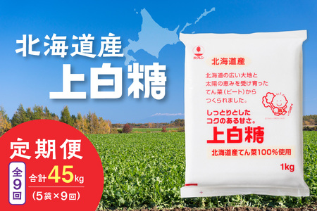 【9回定期便】ホクレンの上白糖1kg×5袋【 定期便 てん菜  北海道産 砂糖 お菓子 料理 調味料 ビート お取り寄せ 北海道 清水町  】_S012-0073