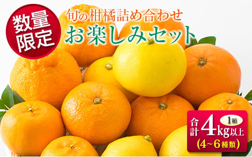 数量限定 旬の柑橘 詰め合わせ お楽しみ セット 合計4kg以上 4～6種類 フルーツ 果物 くだもの 柑橘 みかん オレンジ ポンカン スイートスプリング 不知火 日向夏 はるか 国産 食品 おすすめ デザート おやつ ギフト 贈り物 贈答 宮崎県 日南市 送料無料_BC80-23