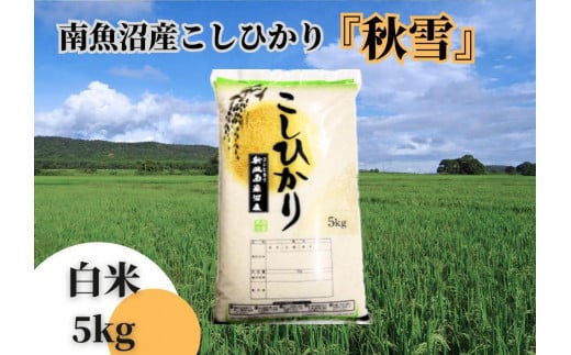 【令和7年産 新米予約】南魚沼産こしひかり「秋雪」白米５ｋｇ 新潟県の特A地区南魚沼市の美味しいお米【2025年（令和7年）10月上旬より順次発送予定】【米 お米 こしひかり 南魚沼 米 白米 こめ 新潟 米】