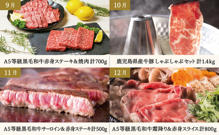 【定期便 全12回】情熱牧場 鹿児島県産お肉の定期便 プレミアムコース お肉 ステーキ すき焼き しゃぶしゃぶ A5等級 ブランド 黒毛和牛 牛肉 豚肉 焼肉 定期便 冷凍