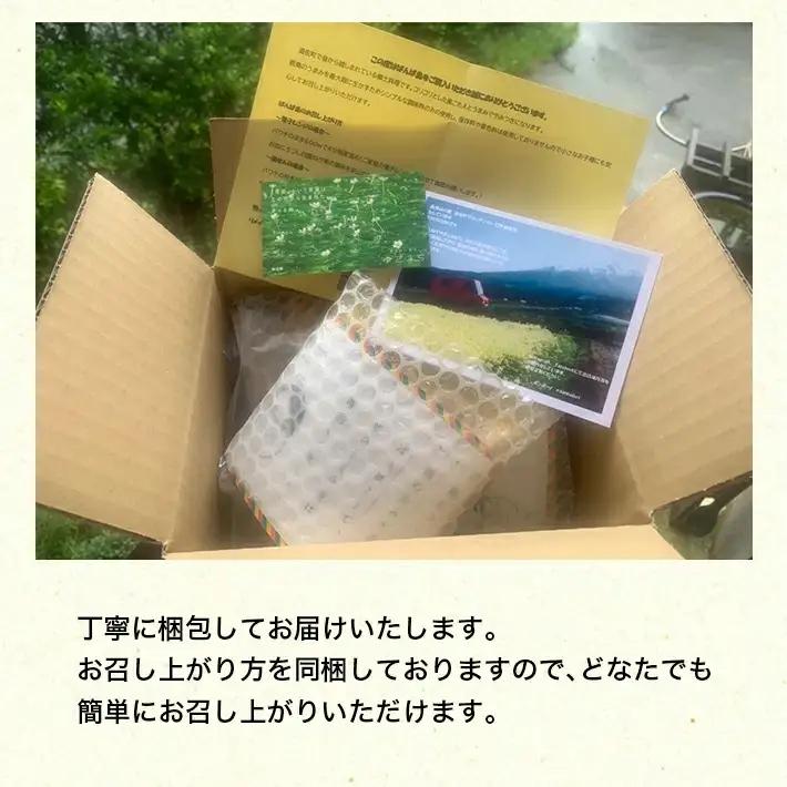 親鳥の煮込み 「ばんば鳥」 200g×3袋 計600g 冷凍便 ※離島発送不可 無着色 鶏肉 煮物 惣菜 手づくり 手作り 醤油味 しょうゆ味 おかず おつまみ 時短 レンジ調理 温めるだけ 個包装 