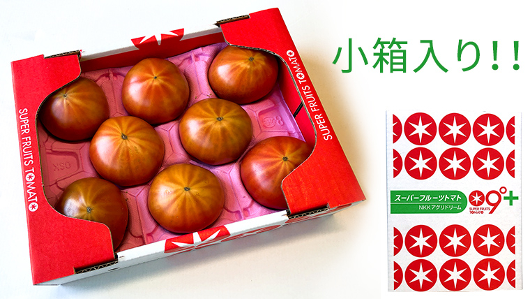 《 2027年 収穫分 》2～3月配送 スーパーフルーツトマト 小箱 約800g × 1箱  (7～13玉/1箱) 糖度9度以上 先行予約 茨城県 桜川市 KEK 国産 トマト フルーツトマト ブランドトマト 野菜 ギフト 贈答 青空レストラン アド街ック天国 グッドモーニング 黄金のワンスプーン 昼めし旅 [BC068sa0203]