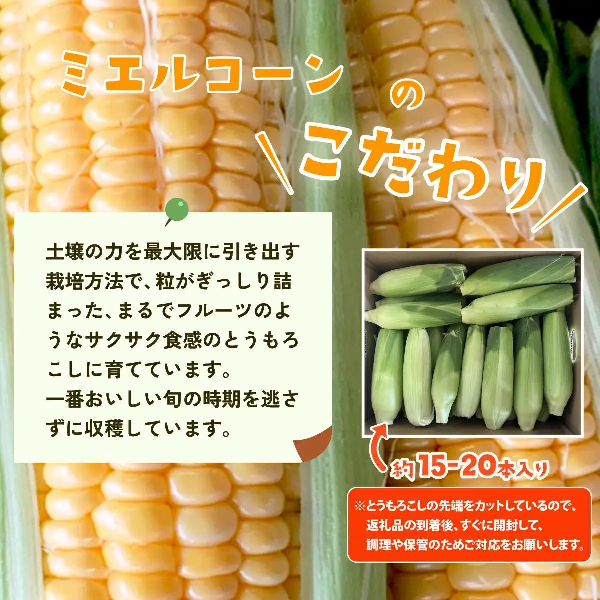 とうもろこし ミエルコーン 約6kg 茨城県産 トウモロコシ 訳あり