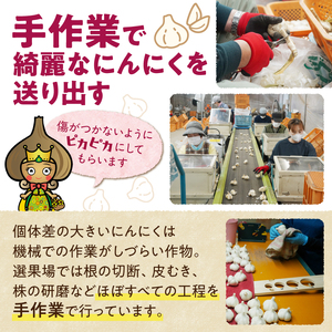 北海道十勝清水の「熟成黒にんにく」(6玉入)×2箱_S021-0006