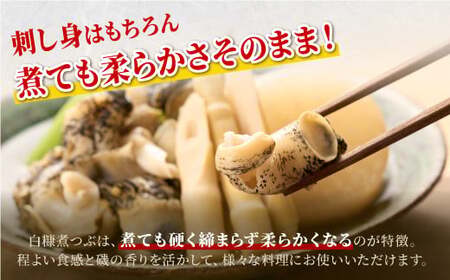白糠煮つぶ とれたてくん 500g × 3個 つぶ貝 灯台つぶ 塩ゆで ふるさと納税 北海道 白糠町_I018-1132-90DAYS