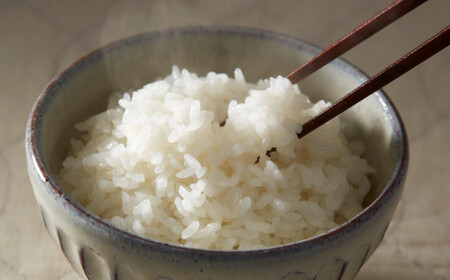 ( 令和５年産 ) たかたのゆめ 白米 24kg 【2kg袋×12ヶ月定期便】