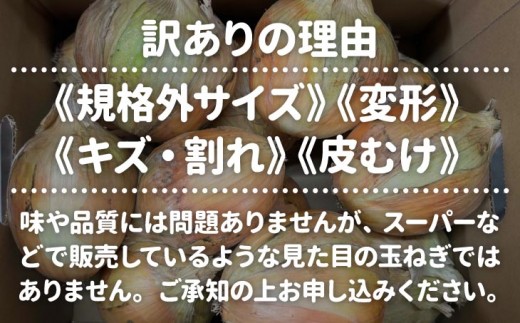 玉ねぎ大国淡路島からの玉ねぎ10kg