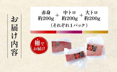 【先行予約】石垣島産 天然本マグロ 600g (まぐろ赤身・中トロ・大トロのセット) ヤエスイ マグロ船直送 ＜2026年6月下旬より順次発送＞