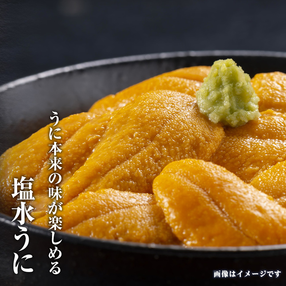 2026年発送 先行受付 ウニ本来の味が楽しめる【白老産】塩水ムラサキウニ 100g×1パック