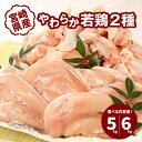 【ふるさと納税】【レビューキャンペーン対象】宮崎県産鶏 やわらか若鶏2種 5kg・ 6kg - 内容量を選べる 大容量 鶏むね肉 手羽元 国産若鶏 鶏肉セット ムネ肉 冷凍 胸肉 ヘルシー 唐揚げ たんぱく質 送料無料 【宮崎県木城町】