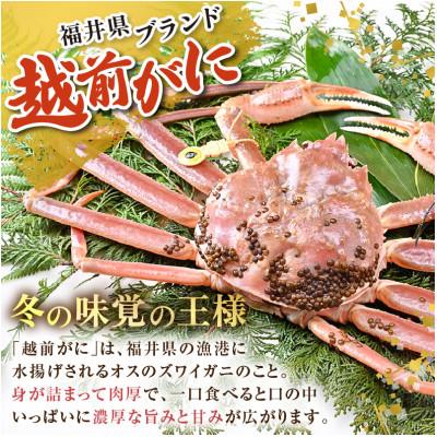 ふるさと納税 あわら市 【先行予約】【3月発送限定】茹で越前がに 1杯 750g〜900g |  | 02