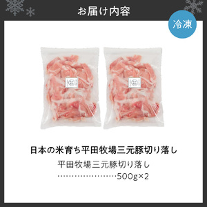 日本の米育ち平田牧場三元豚切り落し500g×2