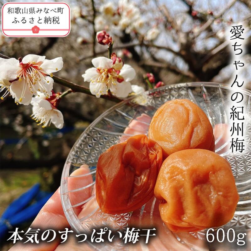 【ふるさと納税】【本気のすっぱい梅干】愛ちゃんの紀州梅 贈答用 600g | 《日本一の梅の産地》 和歌山 みなべ町 無添加 梅 うめ ウメ 梅干 梅干し 塩分 18% 甘くない