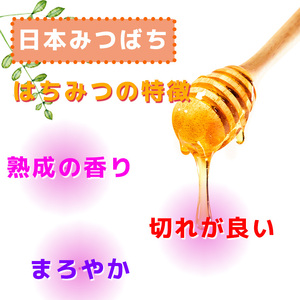 GD001_日本蜜蜂の純粋はちみつ＊　３００ｇ×２