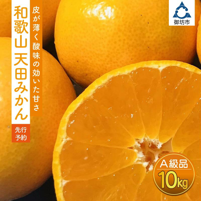 【ふるさと納税】天田みかん（紀州和歌山）A級10kg（先行予約）