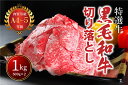 【ふるさと納税】国産 A4 A5 黒毛和牛 切り落とし 1kg （500g×2パック） 小分け 香川県 善通寺市