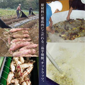 芋焼酎 チットラッツ 500ml 三島甘藷 芋 焼酎
