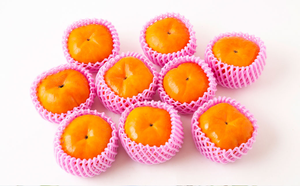 早秋柿 9～12玉（約3kg）