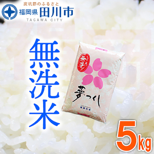 無洗米  福岡県産夢つくし 無洗米 5kg  無洗米 